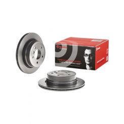 Brembo Disc Brake Rotor (Single) 300mm