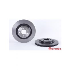Brembo Disc Brake Rotor (Single) 320mm