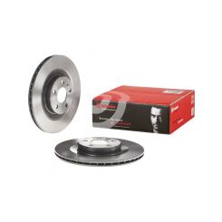 Brembo Disc Brake Rotor (Single) 320mm
