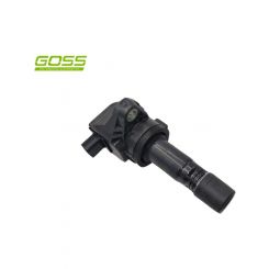 Goss Ignition Coil