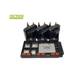 Goss Ignition Coil And Module Kit