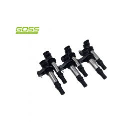 Goss Ignition Coil