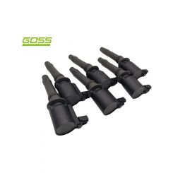 Goss Ignition Coil Set