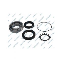 GSP Wheel Bearing Kit