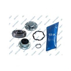 GSP CV Joint