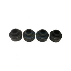 Transgold Front Radius Arm To Chassis Bushes