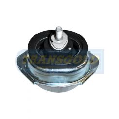 Transgold Engine Mount Hydro Front