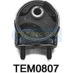 Transgold Engine Mount Rear