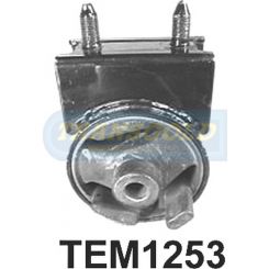 Transgold Engine Mount Front