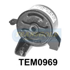 Transgold Engine Mount Rear