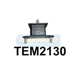 Transgold Engine Mount Rear