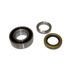 BWS Wheel Bearing Kit