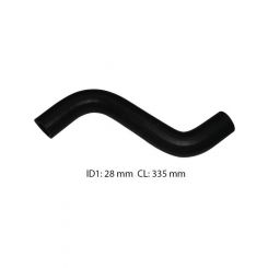 Dayco Moulded Radiator Hose