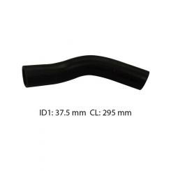 Dayco Moulded Radiator Hose