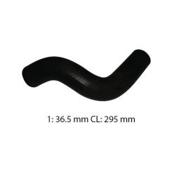 Dayco Moulded Radiator Hose