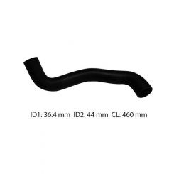 Dayco Moulded Radiator Hose