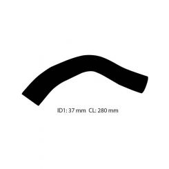 Dayco Moulded Radiator Hose