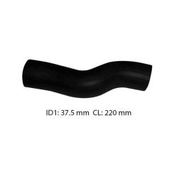 Dayco Moulded Radiator Hose