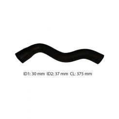 Dayco Moulded Radiator Hose