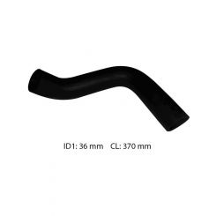 Dayco Moulded Radiator Hose