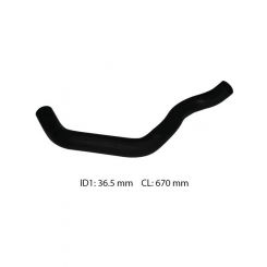 Dayco Moulded Radiator Hose