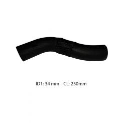 Dayco Moulded Radiator Hose