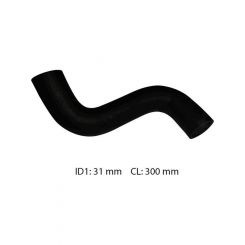 Dayco Moulded Radiator Hose