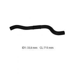 Dayco Moulded Radiator Hose