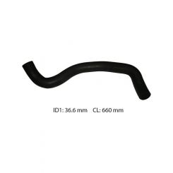 Dayco Moulded Radiator Hose