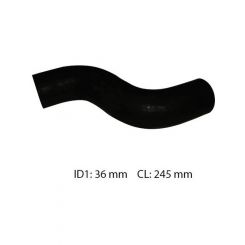 Dayco Moulded Radiator Hose