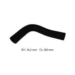 Dayco Moulded Radiator Hose