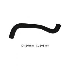Dayco Moulded Radiator Hose