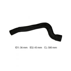 Dayco Moulded Radiator Hose