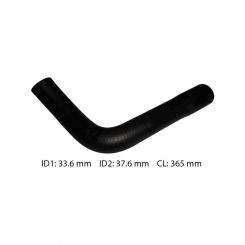 Dayco Moulded Radiator Hose