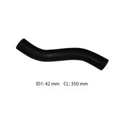 Dayco Moulded Radiator Hose