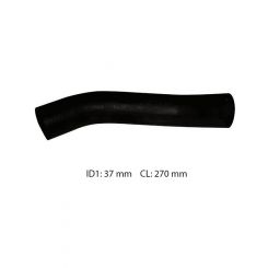 Dayco Moulded Radiator Hose