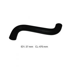 Dayco Moulded Radiator Hose