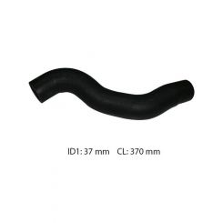 Dayco Moulded Radiator Hose