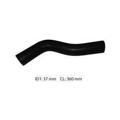 Dayco Moulded Radiator Hose