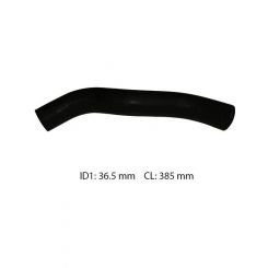 Dayco Moulded Radiator Hose
