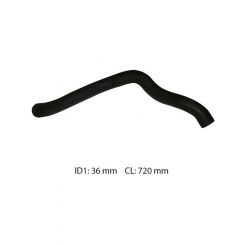 Dayco Moulded Radiator Hose