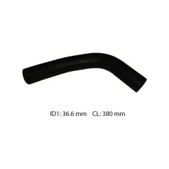 Dayco Moulded Radiator Hose