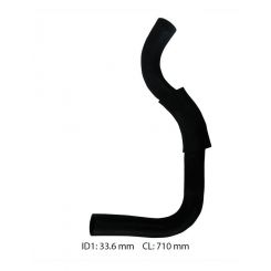 Dayco Moulded Radiator Hose