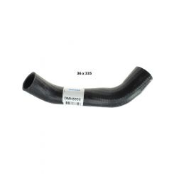 Dayco Moulded Radiator Hose