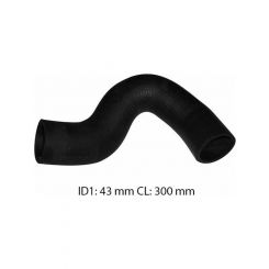 Dayco Moulded Radiator Hose