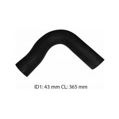 Dayco Moulded Radiator Hose