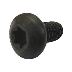 Chevrolet Performance Cam Retainer Plate Bolt 1/4-20" Torx Head