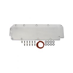 ICT Billet Valley Cover O-Rings Hardware 3/8" Thick Natural GM GenV