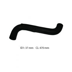 Dayco Moulded Radiator Hose