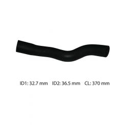 Dayco Moulded Radiator Hose